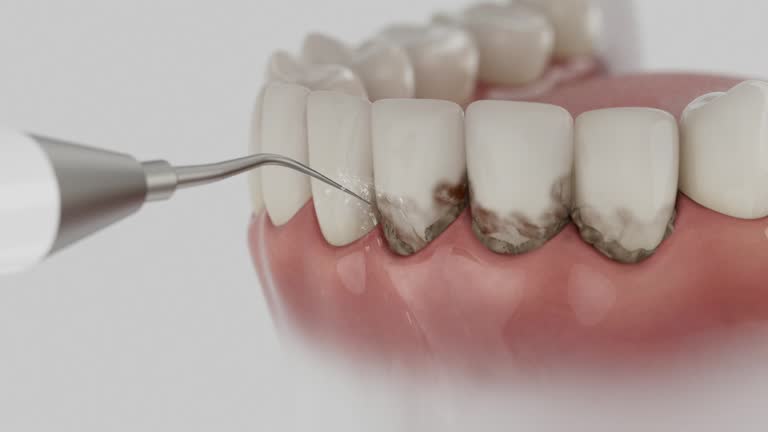 Reliable Dental contractor in Lander, WY by Dentist Open Now